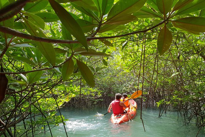 4-Waters Eco-Adventure Trip from Phuket Including Lunch - Hot springs, a cold pool, and time to recover