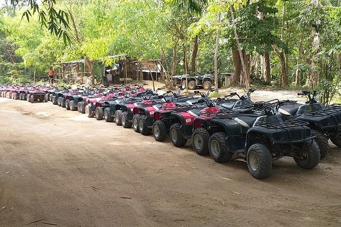 90 Minutes ATV Riding and Big Buddha From Phuket - The return ride and transfer back