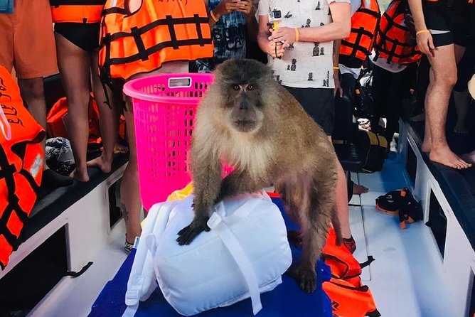 All-in Phi Phi, Maiton, MayaBay, Khai, Bamboo islands Tour - A long day starts at Phuket’s pier