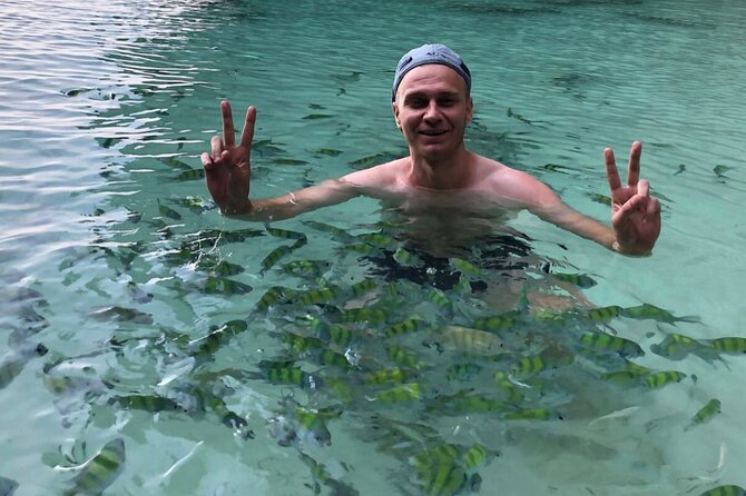 All-in Phi Phi, Maiton, MayaBay, Khai, Bamboo islands Tour - Pileh Lagoon: limestone and green water