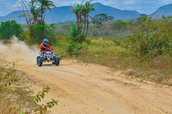 ATV Big Buddha Phuket Viewpoint - A Hillside Ride With a View