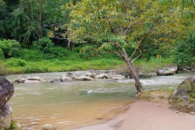 Bamboo Rafting and Jungle Tour From Phuket - What $52.13 buys you