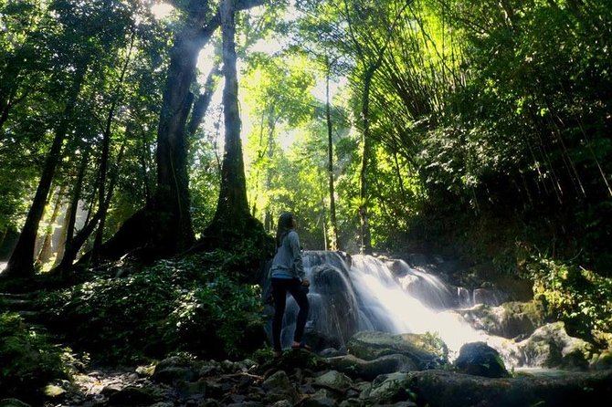 Bamboo Rafting, ATV Riding and Jungle Tour From Phuket - A 30-minute ATV ride in the jungle