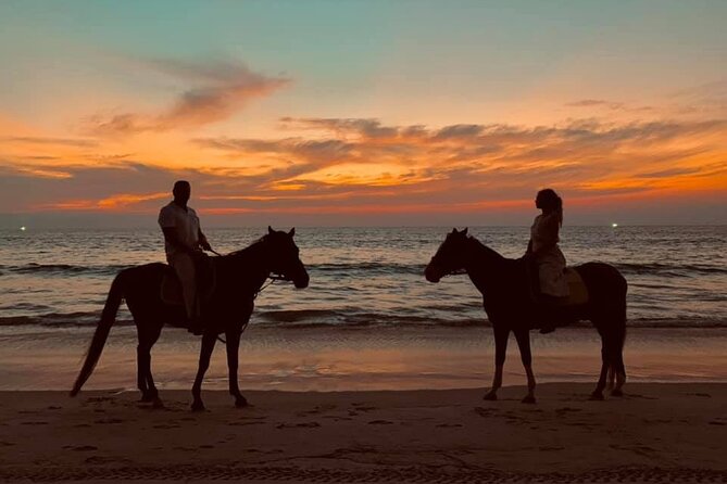 Beach Horse Riding At Sunset In Phuket - Horse care and the value of the experience