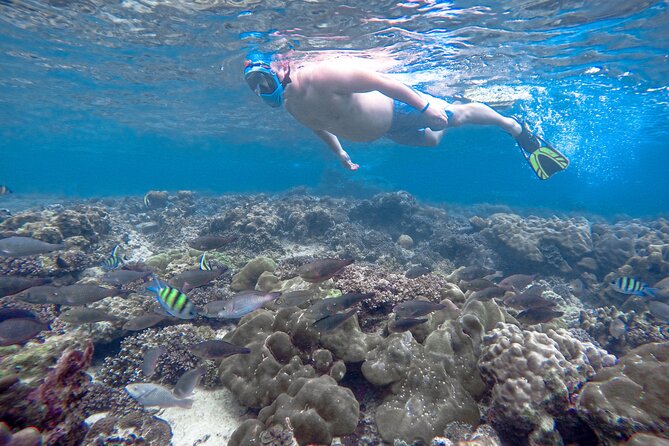Best of Phi Phi Islands Snorkeling Tour from Phuket - A full day by speedboat, not a quiet island escape