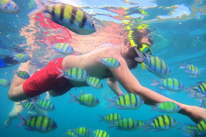 Best of Phi Phi Islands Snorkeling Tour from Phuket - Maya Bay: beautiful, famous, and often crowded