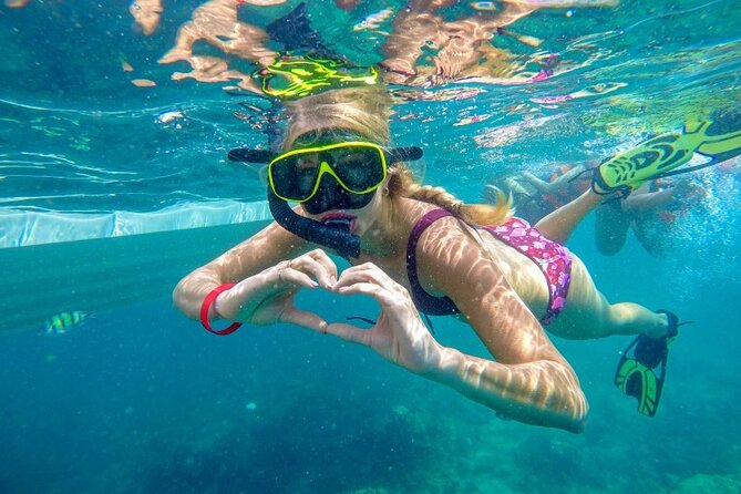 Best of Phi Phi Islands Snorkeling Tour from Phuket - Monkey Beach: a quick look at the local residents