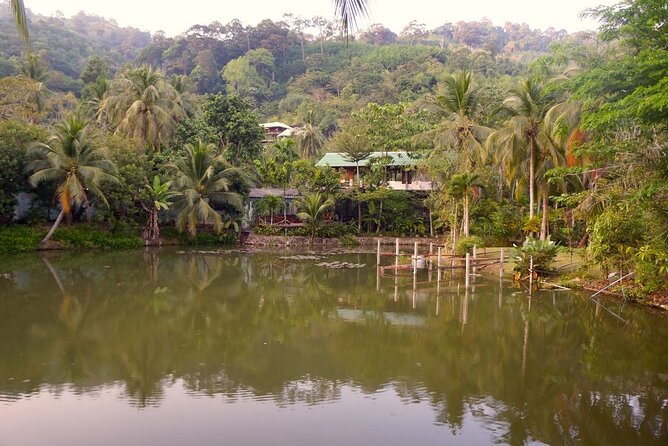 Choose Your Own Dishes: Half-Day Thai Cooking Class in Phuket - A hands-on kitchen, not a cooking demonstration