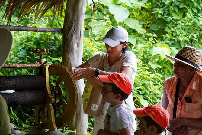 Elephant Nature Experience with Lunch at Bukit Elephant Park - Thai cooking, coconut milk and rubber tapping