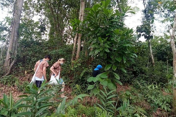 Elephant Sanctuary Small Group Tour in Phuket - What to know before you go