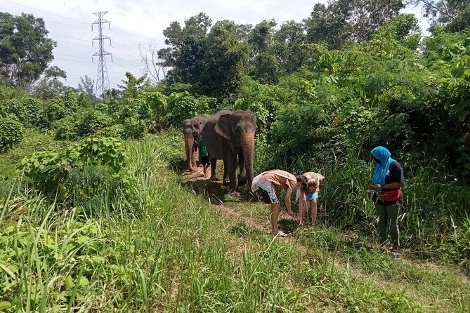 Elephant Sanctuary Small Group Tour in Phuket - Making herbal snacks and feeding by hand