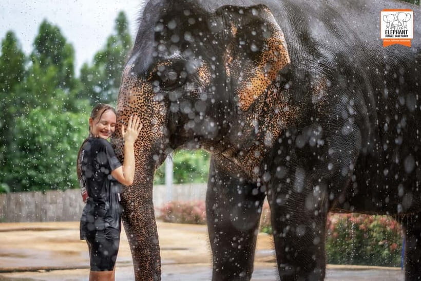From Phuket: Elephant Jungle Sanctuary Feed and Shower Trip - Meet the elephants through food and water