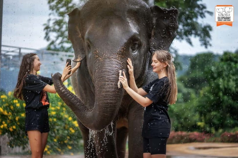 From Phuket: Elephant Jungle Sanctuary Feed and Shower Trip - Getting there and what to bring