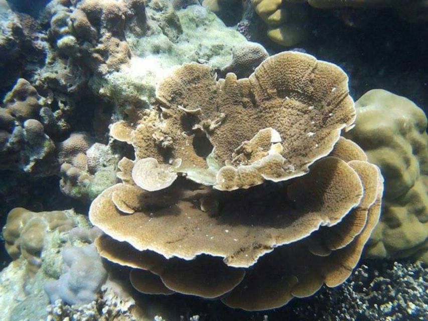 From Phuket: Phi Phi, Maya Bay, & Khai Islands Premium Trip - Khai Nai: a softer finish