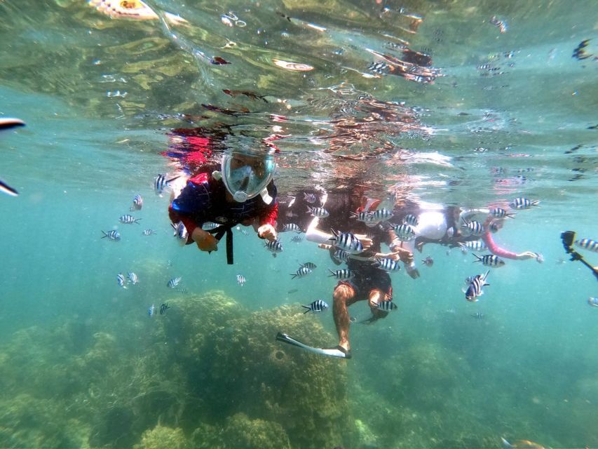 From Phuket: Phi Phi, Maya Bay, & Khai Islands Premium Trip - What $52 buys, and what it does not