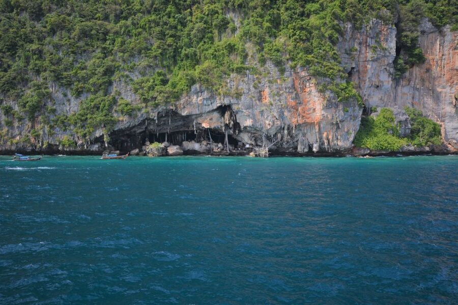 From Phuket: Snorkeling Ferry Cruise to Phi Phi Islands - What the $39 price really covers