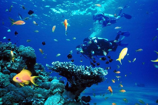Full-Day Beginner Scuba Course with Private Tuition, Racha Yai - From Chalong Pier to Koh Racha Yai