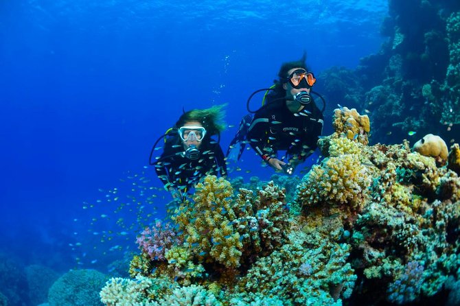 Full-Day Beginner Scuba Course with Private Tuition, Racha Yai - Who should book, and who should pause