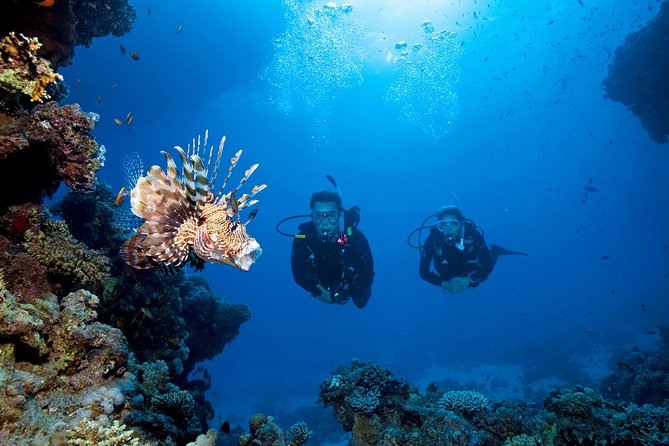 Full-Day Beginner Scuba Course with Private Tuition, Racha Yai - Should you book this Racha Yai course?