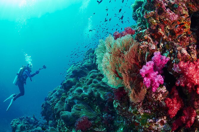 Full-Day Beginner Scuba Course with Private Tuition, Racha Yai - FAQ