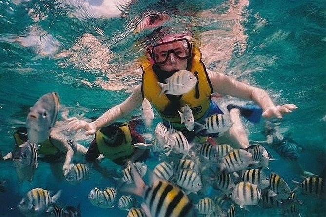Full-Day Racha Noi and Racha Yai Snorkeling from Phuket - Who will get the most from this trip?