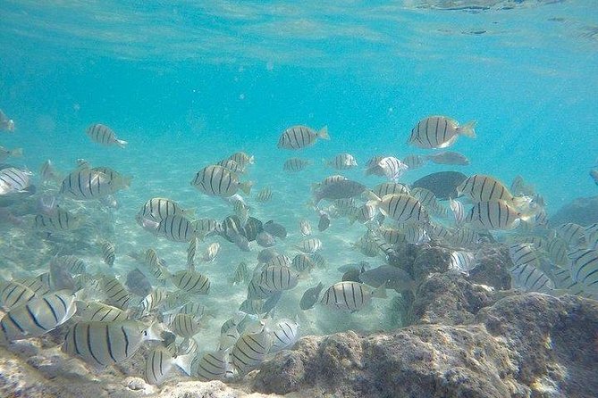 Full-Day Racha Noi and Racha Yai Snorkeling from Phuket - Should you book the Racha Islands trip?