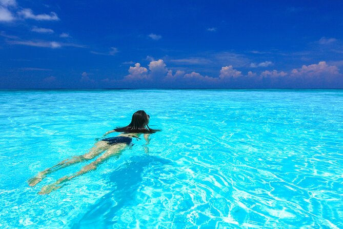 Full-day Tour to the Similan Islands by Speedboat from Khao Lak - Ko Miang: lunch and more time by the water
