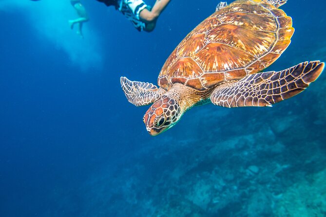 Full-day Tour to the Similan Islands by Speedboat from Khao Lak - What $101.18 buys, and what it does not