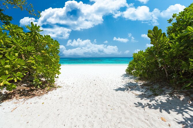 Full-day Tour to the Similan Islands by Speedboat from Khao Lak - Who should book this Similan Islands tour?