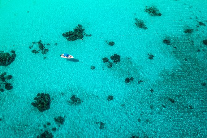 Full-day Tour to the Similan Islands by Speedboat from Khao Lak - The ride back, dinner and the long day’s finish