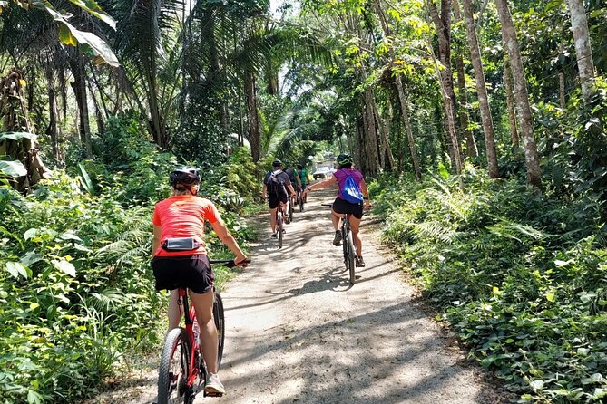 Half-Day Countryside Cycling Small-group Tour in Phuket - A half-day ride beyond Phuket’s beach belt