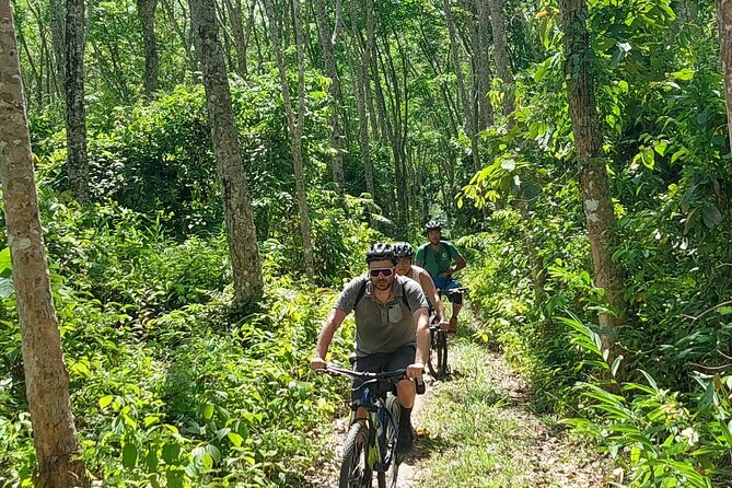 Half-Day Countryside Cycling Small-group Tour in Phuket - Riding the forest at Phuket Forest Nursery Station