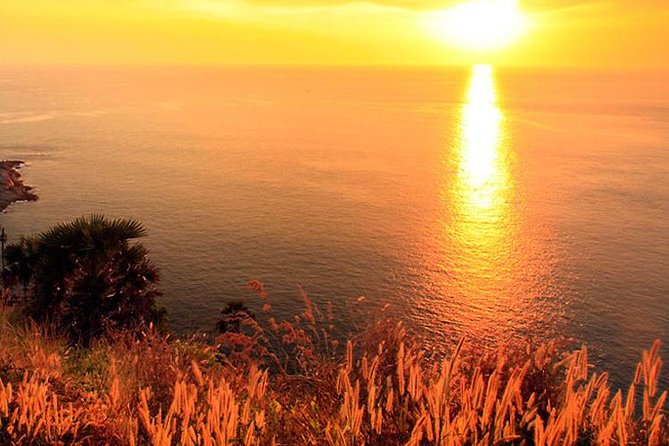 Landmark City Tours with Viewpoints & Monkey Hill "Must" to See - Is $33.15 good value?