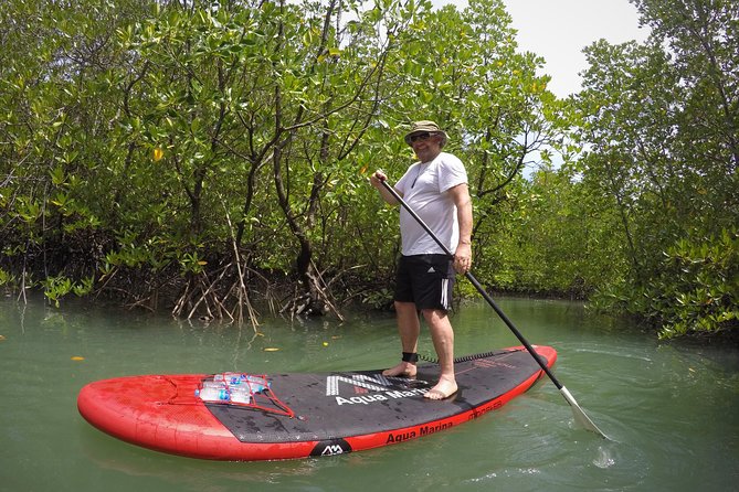 Mangroves SUP Tour Phuket - What the price includes, and what it is worth