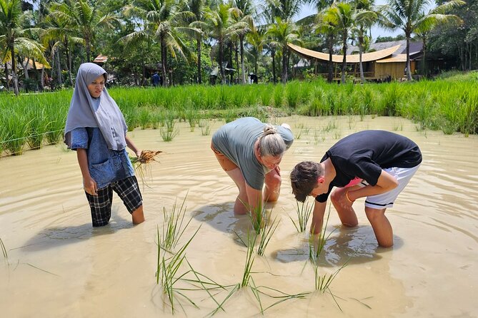 Old Phuket Farm Ticket - Countryside Local Life Culture - How the guide shapes the visit