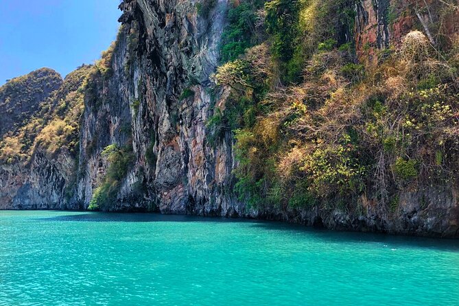 Phang Nga Bay Private Bioluminescence and Sea Canoeing Tour - What the private price buys you