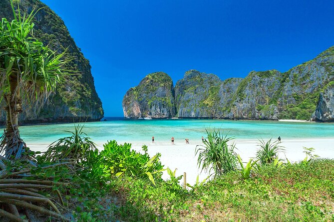Phi Phi & Bamboo Island Full Day Tour by Premium Speed-Catamaran - Phi Phi Don: snorkeling, lunch, and a look around