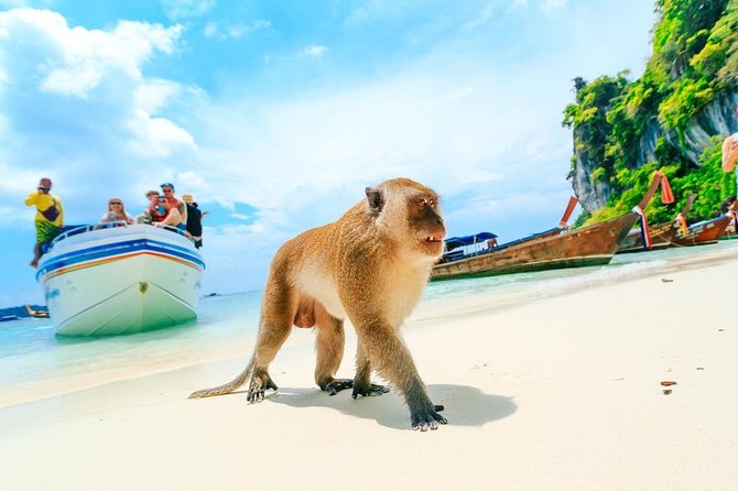 Phi Phi , Khai & Maya : Unforgettable Island Hopping by Speedboat - Khai Nok: the last swim before Phuket