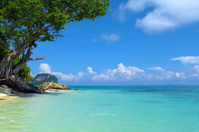 Phi Phi & Maya Bay Speedboat: All-Day Food & Choice of 3 Marinas - What $51.11 gets you, and what it does not