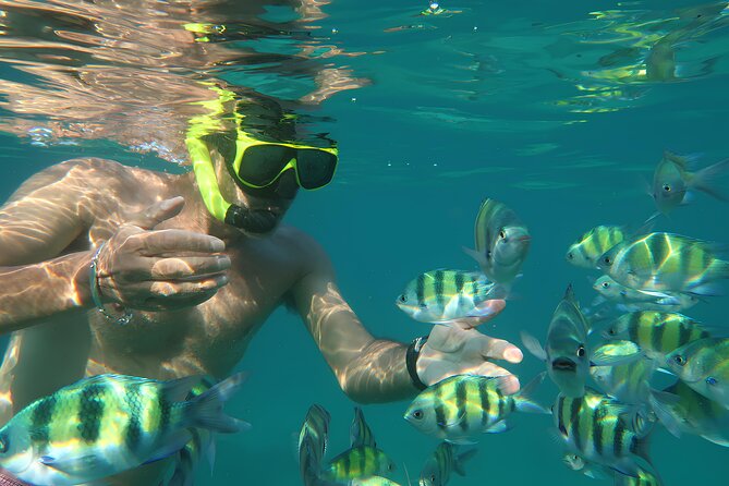 Phuket 3 Khai Island Speedboat With Snorkeling (Half or Full Day) - Khai Nai: the final island is the big decision