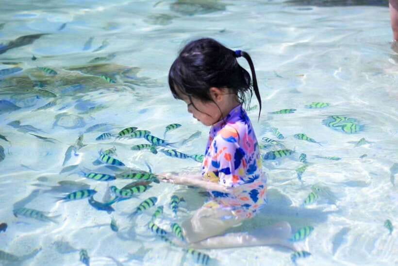 Phuket: 3 Khai Islands Relax & Snorkeling Half/Full Day Tour - Transfers, gear, and the little costs