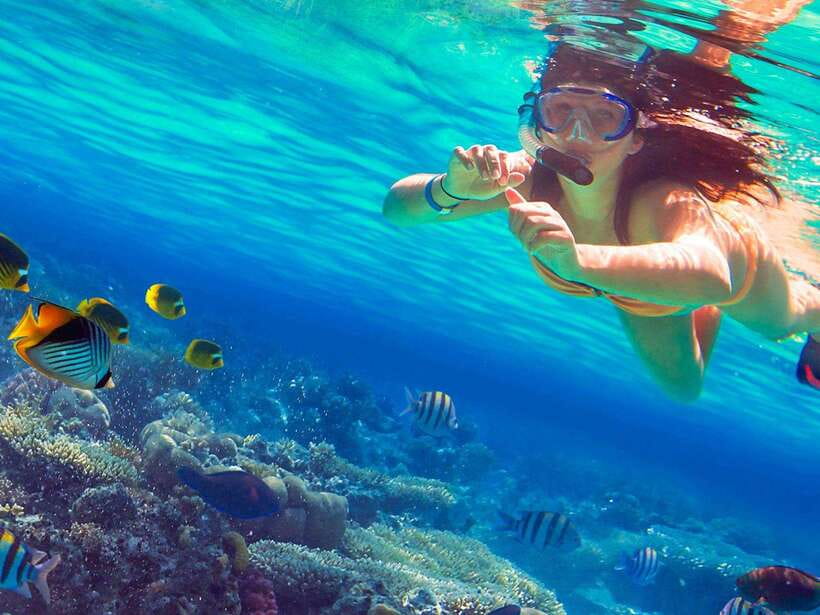 Phuket: 3 Khai Islands Snorkeling Tour - Khai Nai: beach time, swimming, and the cats
