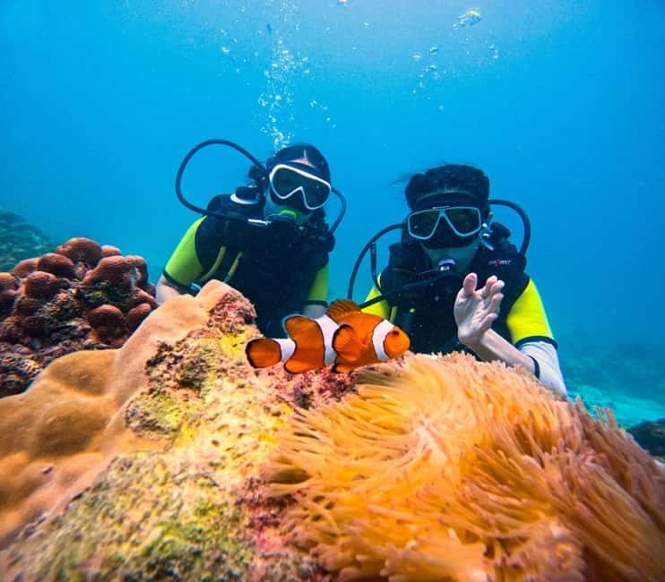 Phuket: 3 Khai Islands Speedboat Tour- Snorkeling & Relaxing - Choose a half-day or give the islands a full day