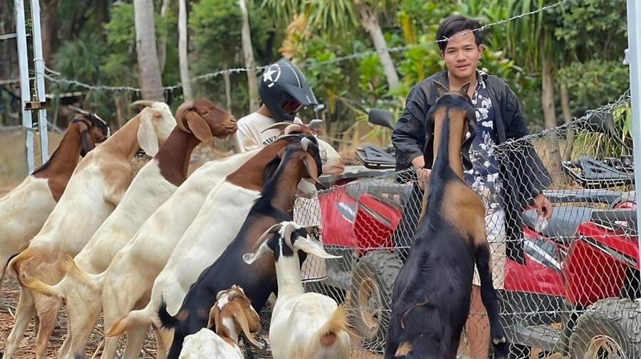 Phuket: ATV Ride with Secret Sea Viewpoints and Swing - Choosing between the ride lengths and extras