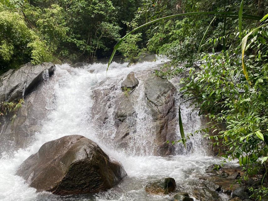 Phuket: Bamboo Rafting, Monkey Cave, and ATV Option - Thai lunch and a useful pause