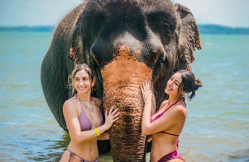 Phuket:Beach walk with elephants, rain & care. 2.5 hours - What to know before you book