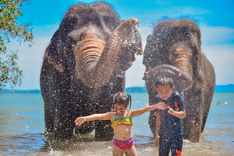 Phuket:Beach walk with elephants, rain & care. 2.5 hours - A coastal sanctuary in Yamu