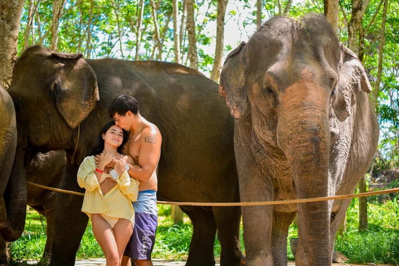 Phuket:Beach walk with elephants, rain & care. 2.5 hours - Feeding and walking with the elephants