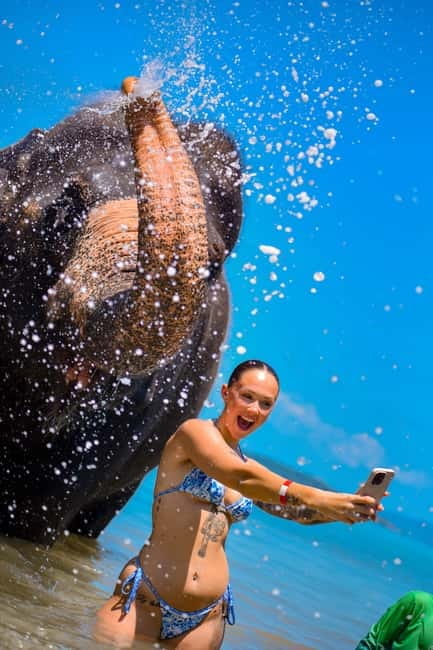 Phuket:Beach walk with elephants, rain & care. 2.5 hours - Making herb balls and ending the visit