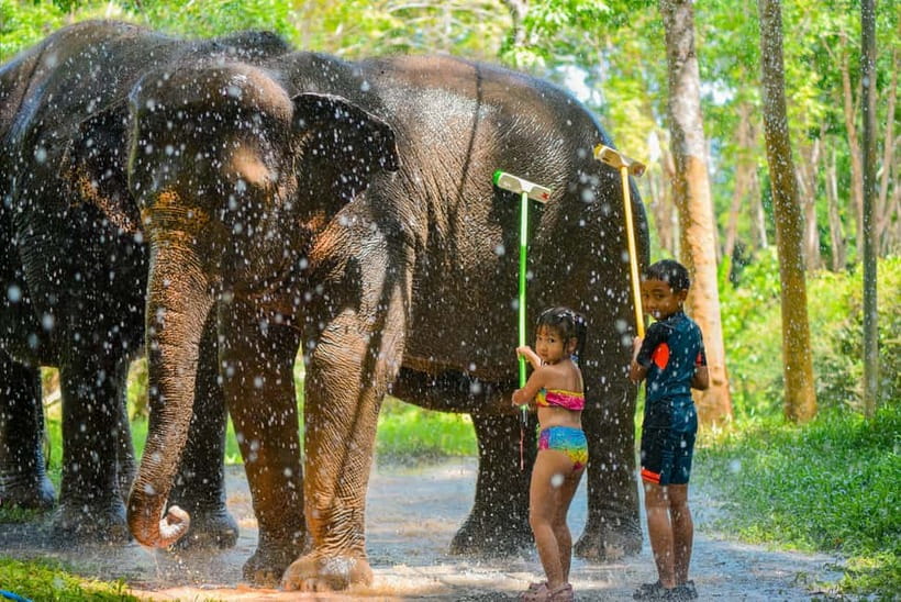 Phuket:Beach walk with elephants, rain & care. 2.5 hours - The price and what it covers